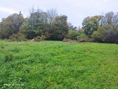 photo For sale House NAVES 19