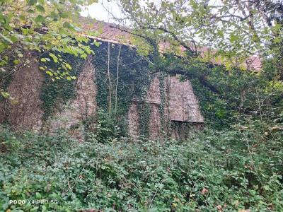 Vente Maison NAVES 