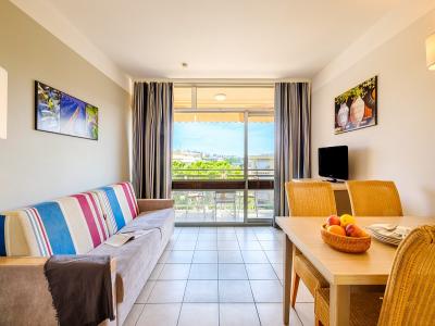 Vente Appartement 2 pièces SAINT-LAURENT-DU-VAR 06700