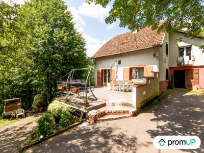 Vente Maison 7 pièces TIEFFENBACH 67290