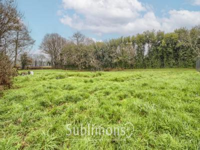 Vente Terrain GRAND-CHAMP 56390