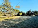 Annonce Vente Terrain Saint-alban-auriolles