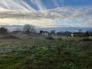 Land BORDES-DE-RIVIERE 