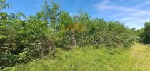 Vente Terrain Montdurausse 81
