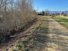 Acheter Terrain Ribeauville Haut rhin