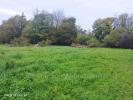 For sale House Naves  19460