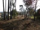 Acheter Terrain Salavas 138000 euros