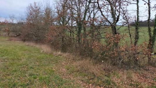 photo For sale Land BERAUT 32