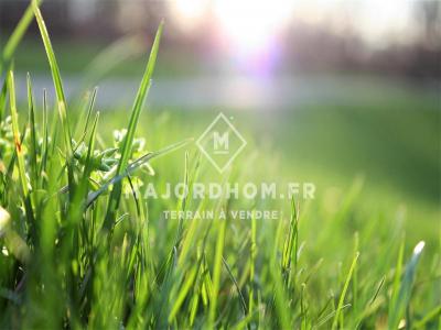 photo For sale Land ENSUES-LA-REDONNE 13