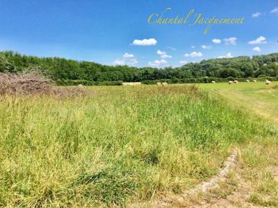Vente Terrain SAINT-JEAN-DE-COLE  24