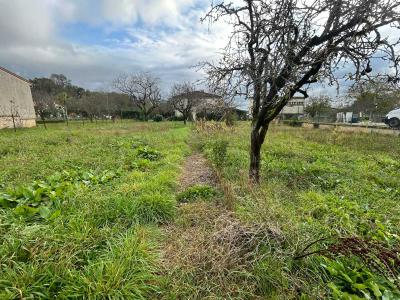 photo For sale Land REALMONT 81