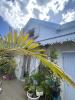 Annonce Vente 7 pices Maison Saint-pierre