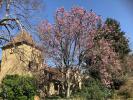 House COUZE-ET-SAINT-FRONT 