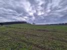 Annonce Vente Terrain Antras