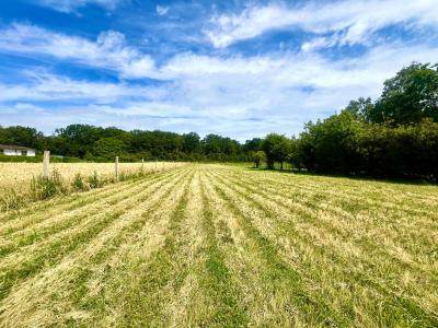 photo For sale Land NEMOURS 77