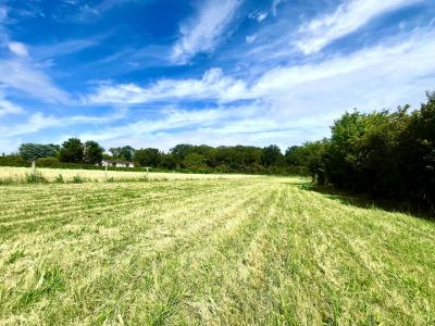 photo For sale Land NEMOURS 77