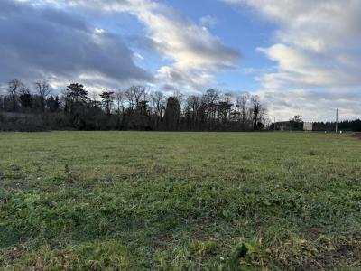 photo For sale Land BIOZAT 03