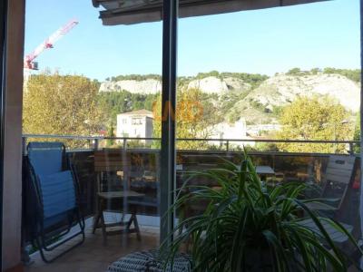photo For sale Apartment CAVAILLON 84