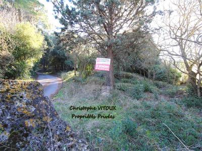 For sale Land PALAJA  11