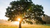 Land VEZENOBRES 