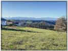 Land SAUVAGNON 