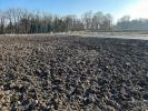 Acheter Terrain Marckolsheim