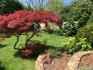 Acheter Maison Clayes-sous-bois 619000 euros