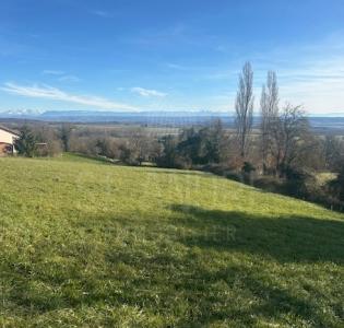 photo For sale Land PISIEU 38