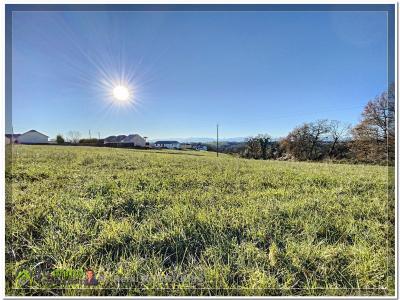photo For sale Land MOMAS 64