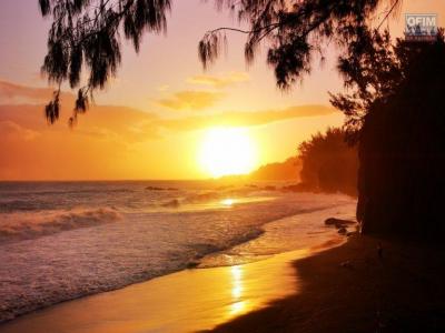 Vente Appartement SAINT-JOSEPH 