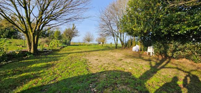 For sale Land COURANT  17