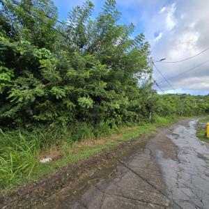 photo For sale Land MARIN 972
