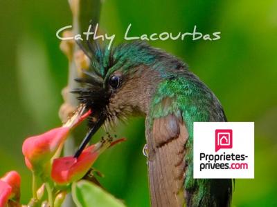 photo For sale Prestigious house DESHAIES 971