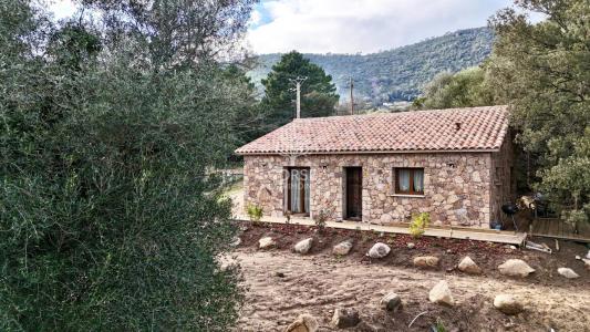 Vente Maison 3 pièces CONCA 20135
