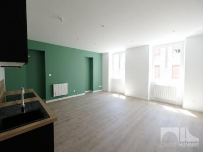 photo For rent Apartment SAINT-ETIENNE 42