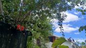 For sale Apartment Tampon 97430 83 m2 4 rooms