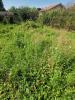 Annonce Vente Terrain Saint-georges-d'esperanche