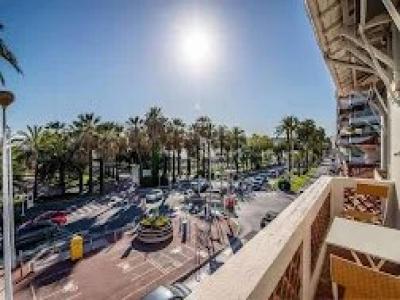 Vente Appartement 33 pièces CANNES 06400