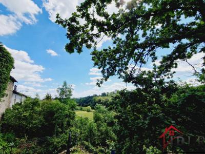 photo For sale House CHATILLON-SUR-SAONE 88