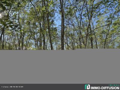 photo For sale House CASTELJALOUX 47