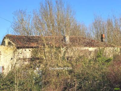 photo For sale House PAIZAY-LE-CHAPT 79