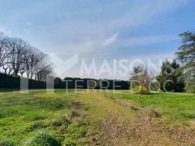 Vente Terrain MAZAMET  81