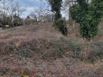 photo For sale Land COURPIERE 63
