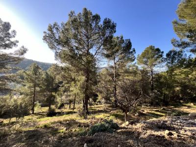 For sale House COTIGNAC 