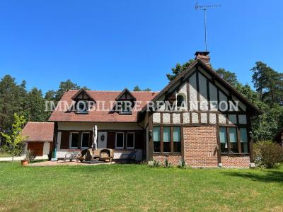 photo For sale Prestigious house SALBRIS 41