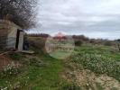 For sale Land Palme  11480 2270 m2