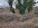 Land COURPIERE 