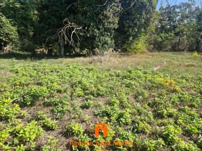 Vente Terrain MALATAVERNE 26780
