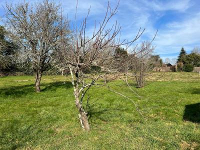 photo For sale Land BADEN 56