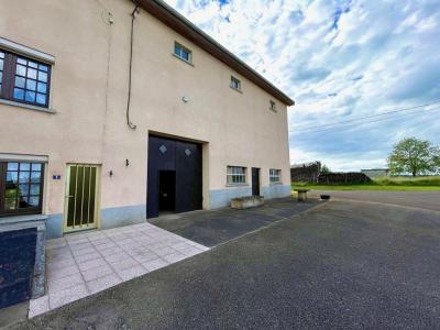 photo For sale House DARNEY 88